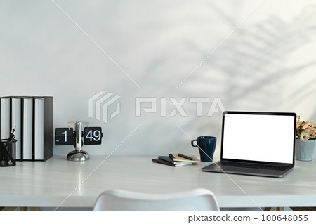 Laptop computer, books and flower pot on white work desk with leaves shadow and sunlight on wall 100648055