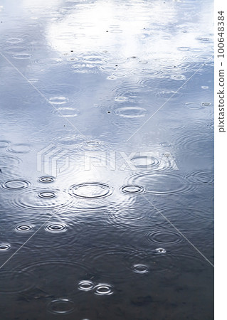 雨 雨 100648384