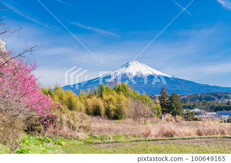 (Shizuoka Prefecture) Japan's original scenery Spring in Yuzuno, Fujinomiya City 100649165