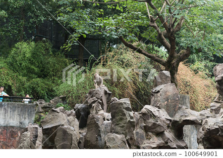 Hiking Trail In the Hangzhou Zoo. Beautiful nature Hiking Trail In the Hangzhou Zoo. Beautiful nature 100649901