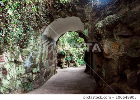 Hiking Trail In the Hangzhou Zoo. Beautiful nature 100649905