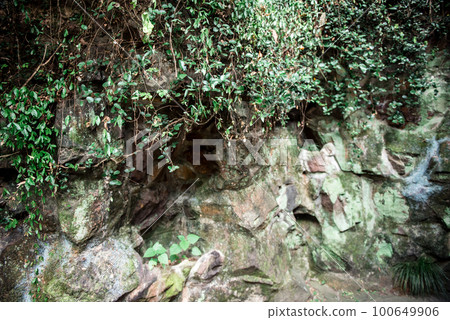 Hiking Trail In the Hangzhou Zoo. Beautiful nature Hiking Trail In the Hangzhou Zoo. Beautiful nature 100649906