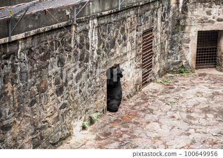 Hiking Trail In the Hangzhou Zoo. Beautiful nature 100649956