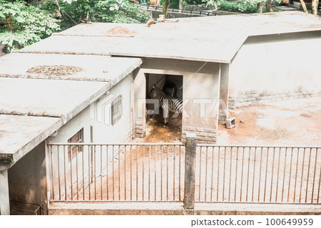 Hiking Trail In the Hangzhou Zoo. Beautiful nature 100649959