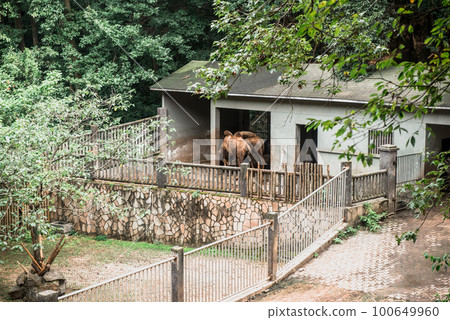 Hiking Trail In the Hangzhou Zoo. Beautiful nature 100649960