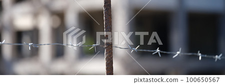Security barbedwire fence, wire with clusters of short, sharp spikes Security barbedwire fence, wire with clusters of short, sharp spikes 100650567