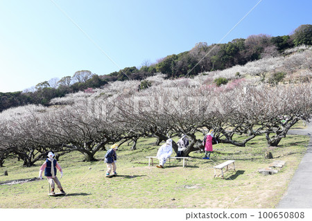 綾部山梅林稻草人（兵庫縣辰野市） 100650808