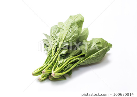 菠菜，綠色和黃色蔬菜，葉類蔬菜，菠菜，新鮮收穫的蔬菜，健康蔬菜 100650814