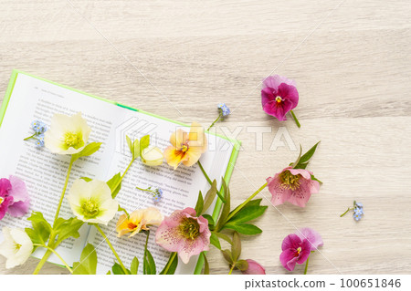 Spring garden flowers and books 100651846