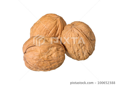 Whole walnuts on white 100652388