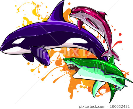 Set of Marine mammals vector illustration. digital hand draw design Set of Marine mammals vector illustration. digital hand draw design 100652421