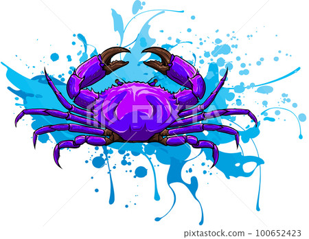 vector illustration of crab. digital hand draw design vector illustration of crab. digital hand draw design 100652423