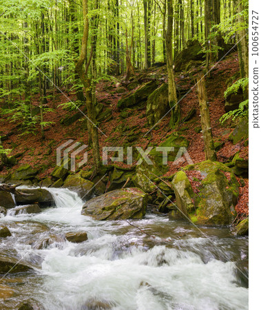 stream in the woods among stones. outdoor nature scenery in spring. ecology and fresh water concept stream in the woods among stones. outdoor nature scenery in spring. ecology and fresh water concept 100654727