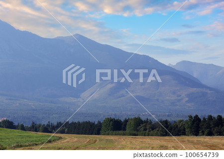 view of rural tatra valley landscape. peaceful countryside scenery of slovakia in summer 100654739