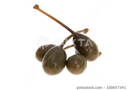 caper isolated 100657341