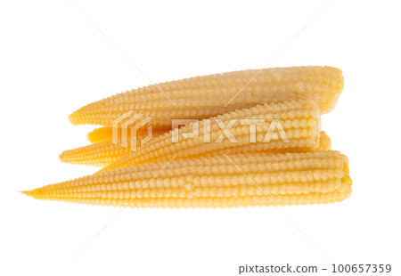 pickled corn cob isolated pickled corn cob isolated 100657359