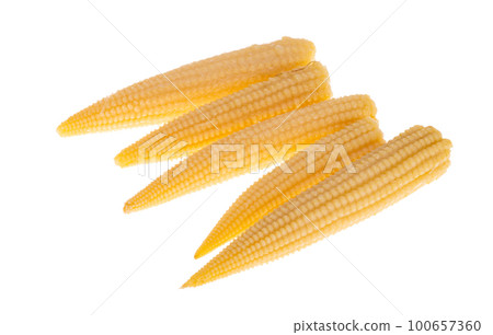 pickled corn cob isolated 100657360
