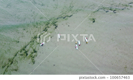 A surfers with surfboards on the sea are waiting for big waves, top view. People do water sports. Surfers. Seascape. A cluster of green algae, a photo from a drone. 100657463