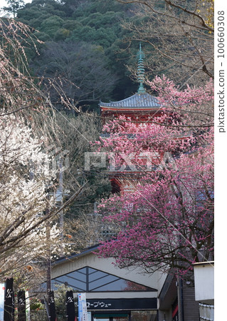 Spring scenery of Gifu Park Spring scenery of Gifu Park 100660308