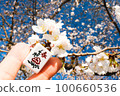 Spring cherry blossoms and spring mahjong tiles [March] 100660536