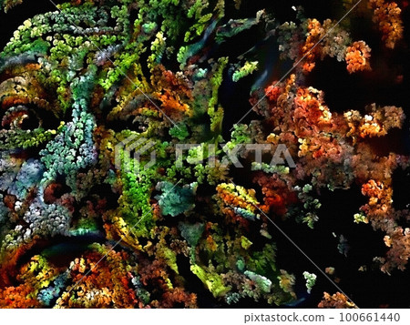 The Face of Nature The Face of Nature 100661440