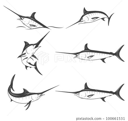 Set of monochrome vector marlins Set of monochrome vector marlins 100661531