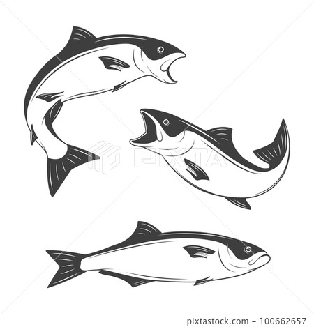 Set of monochrome vector fish Set of monochrome vector fish 100662657
