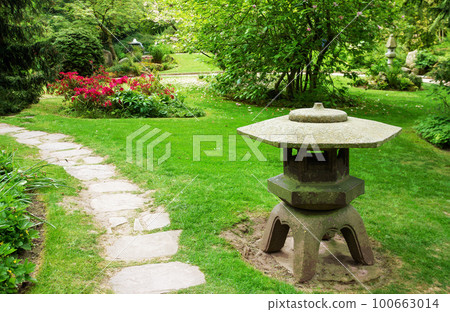 Amazing view on lantern and cherry blossom in  japanese garden in Leverkusen- awe May  in Germany! 100663014