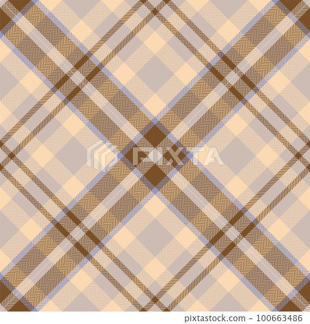 Plaid pattern vector. Check fabric texture. Seamless textile design for clothes, paper print. 100663486