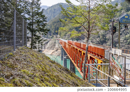 Railway bridge (Rainbow Bridge) seen from Okuoi Kojo Station on the Oigawa Railway Igawa Line 100664995