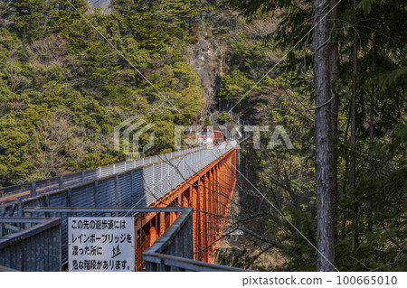 Oigawa Railway Igawa Line Torokko train running on the iron bridge (Rainbow Bridge) Oigawa Railway Igawa Line Torokko train running on the iron bridge (Rainbow Bridge) 100665010