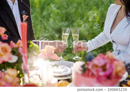 Stylish wedding picnic Stylish wedding picnic 100665239