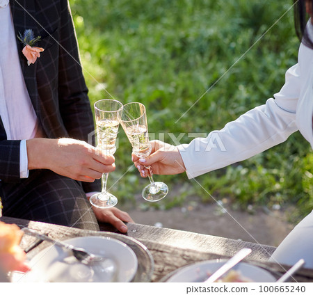 Stylish wedding picnic Stylish wedding picnic 100665240
