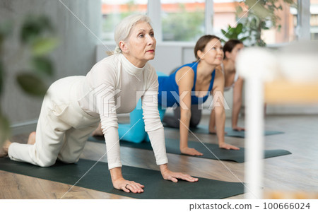 Diligent women practicing cow pose of yoga in light fitness room Diligent women practicing cow pose of yoga in light fitness room 100666024