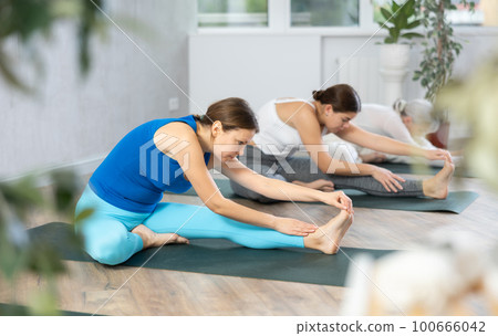 Adult woman doing yoga in fitness studio Adult woman doing yoga in fitness studio 100666042