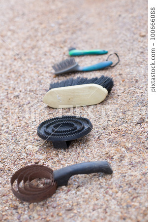 different types of brush for grooming horses. animal equestrian hair clean care. closeup equipment different types of brush for grooming horses. animal equestrian hair clean care. closeup equipment 100666088