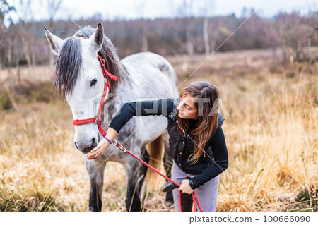 horse care cleaning with brush. Andalusian pure spanish grooming. middle aged hispanic woman rider horse care cleaning with brush. Andalusian pure spanish grooming. middle aged hispanic woman rider 100666090