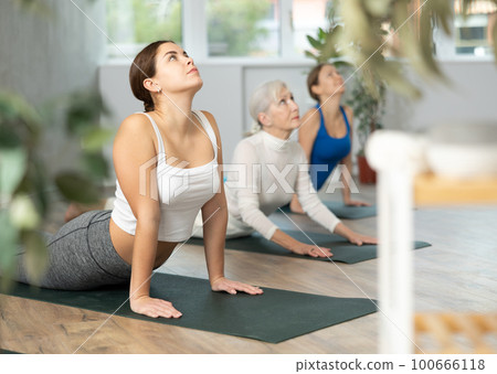 Women of different ages bending in back while lying on stomach in Bhujangasana Cobra Stretch position in yoga studio Women of different ages bending in back while lying on stomach in Bhujangasana Cobra Stretch position in yoga studio 100666118