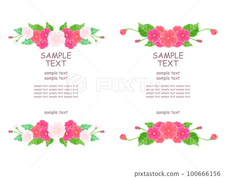 Primula decorative frame 100666156