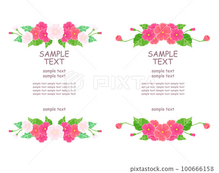 Primula decorative frame 100666158