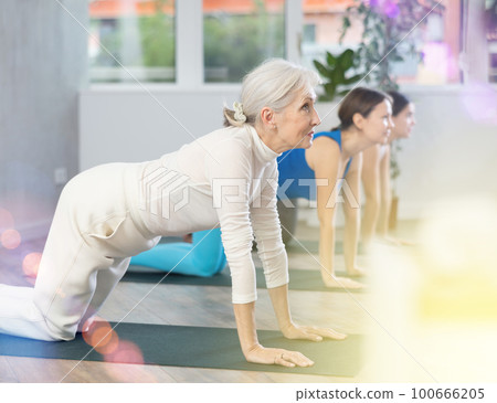 Elderly woman doing yoga in fitness studio Elderly woman doing yoga in fitness studio 100666205