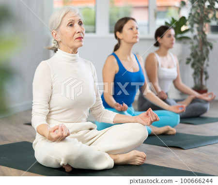 Elderly woman doing yoga in fitness studio Elderly woman doing yoga in fitness studio 100666244