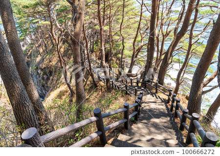 “岩手縣”波內崎步道 100666272