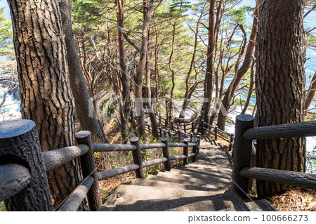 “岩手縣”波內崎步道 “岩手縣”波內崎步道 100666273