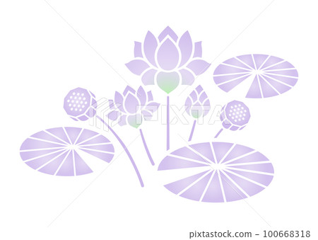 蓮花紫色漸變 100668318