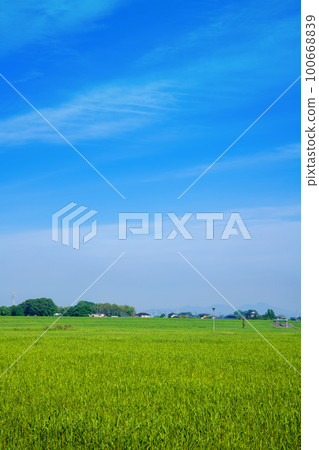 Watarase Reservoir Green View Early Summer Scenery 100668839