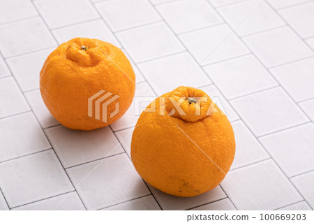 Depopon柑橘 100669203