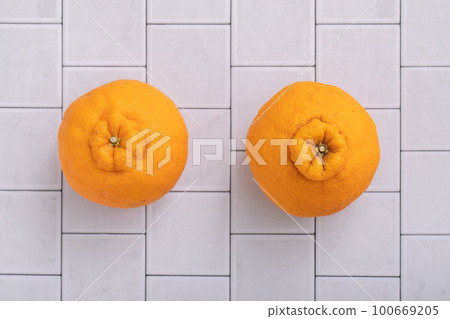 Depopon Citrus 100669205