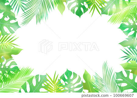 Palm foliage plant tropical background Palm foliage plant tropical background 100669607