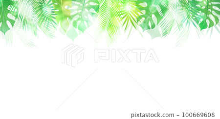 Palm foliage plant tropical background 100669608